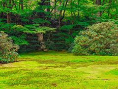 -三千院