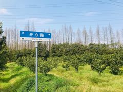 -上海长兴岛郊野公园