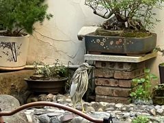 -茶米人台湾料理·精致快简餐