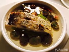 -西郊5号·Maggie 5