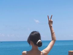 -广东惠东海龟国家级自然保护区