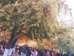 -辽宁大学(崇山校区)