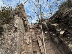 -午潮山国家森林公园