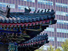 -Plush大堂酒廊(北京金融街威斯汀大酒店)