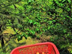 -小格里自然风景区