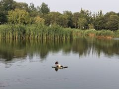 -前关湿地公园