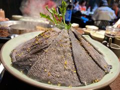-巴倒烫陆派火锅山庄(南山总店)