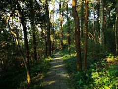 -九曜山