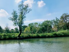 -西溪国家湿地公园