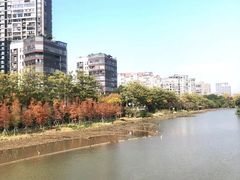 -金山公园