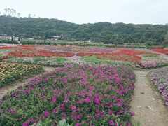 -清溪大王山森林公园