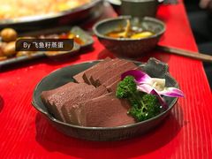 谭公鸭血-谭鸭血老火锅(漳州路店)