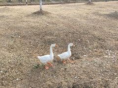 -云水涧亲子度假酒店