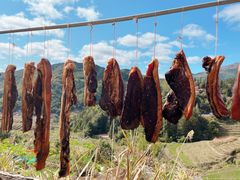 -南靖田螺坑土楼群景区