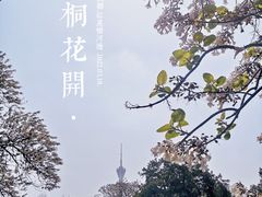 -红星桥(地铁站)