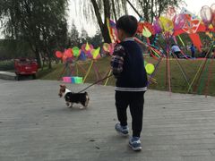 -两河城市森林公园
