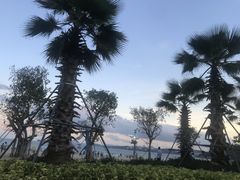 -大梅沙海滨公园