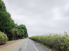 -贡湖湾湿地公园