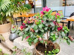 -三十三碗黄牛肉面(东原1891店)