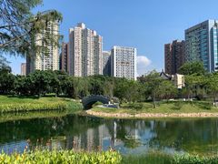 -四海公园(南山区)