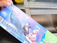 -烟台海昌鲸鲨海洋公园