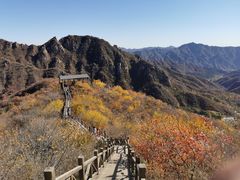 -大岭沟猕猴桃谷风景区