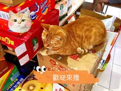 -玉华饮食店(茅台路店)