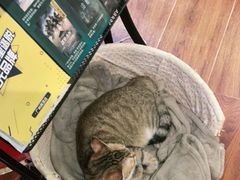-H立方实景剧情密室(天河旗舰店)