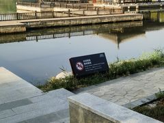 -洋湖国家湿地公园