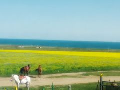 -青海湖国家重点风景名胜区