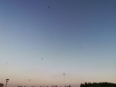-丁香湖公园