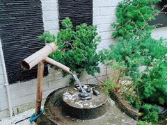 -浮何烤铺(桐梓林店)