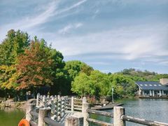 -白马涧龙池景区