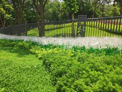 -云溪植物园
