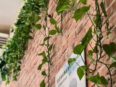 -金豆角砂锅焖面(安贞店)