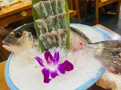 鲷鱼鱼生-银子铁板烧料理自助餐(人民广场店)
