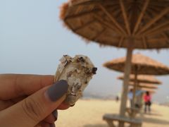 -碣石国家级海洋公园
