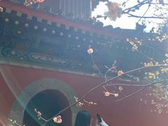 -国家植物园南园