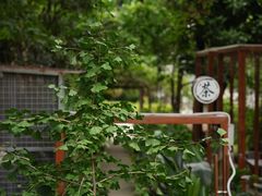 -谷咖啡·鲜花绿植花园餐厅