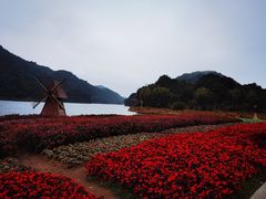 -广州市石门国家森林公园