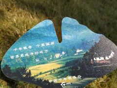 -千年银杏谷文化旅游区