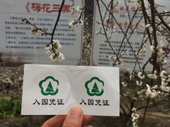 -广州市流溪河国家森林公园
