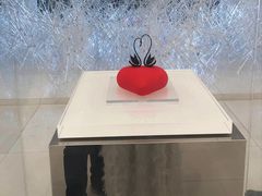 -罗红摄影艺术馆