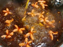 -肖肖酸萝卜鱼火锅(总店)