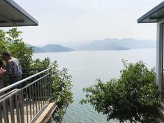 -望湖烤鱼
