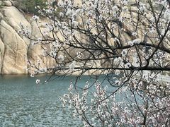 -青岛崂山太清宫