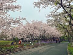 -白塘生态植物园