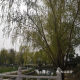 大明宫遗址公园里面非常大