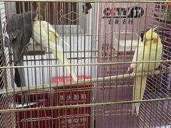 -潇湘·永州会馆(百子湾店)