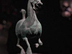 -甘肃省博物馆